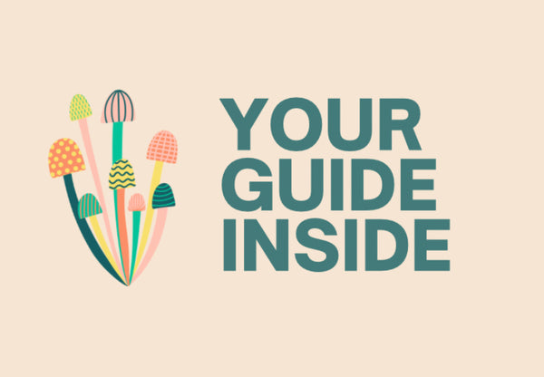 Your Guide Inside